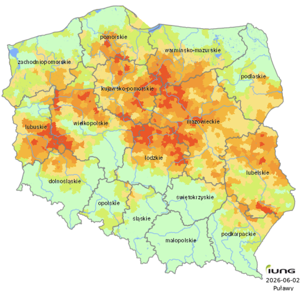 Zagrożenie suszą upraw zbóż jarych w Polsce w czerwcu 2026 wg SMSR IUNG Puławy