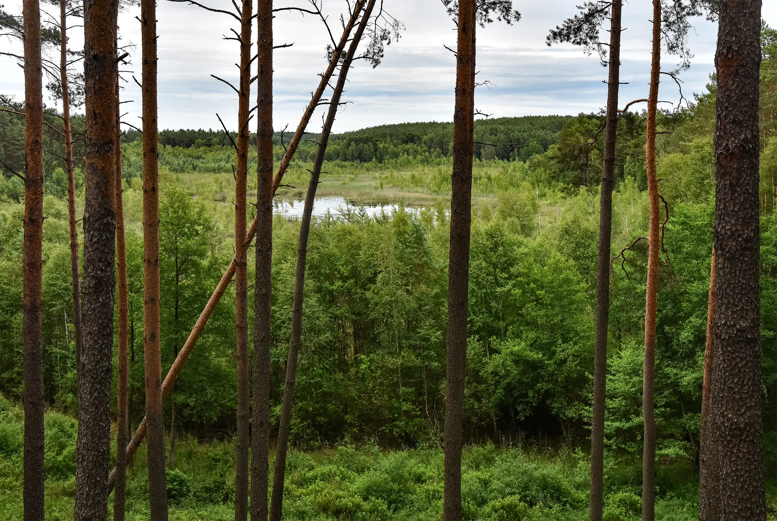 Water retention in the Lubuskie Province
